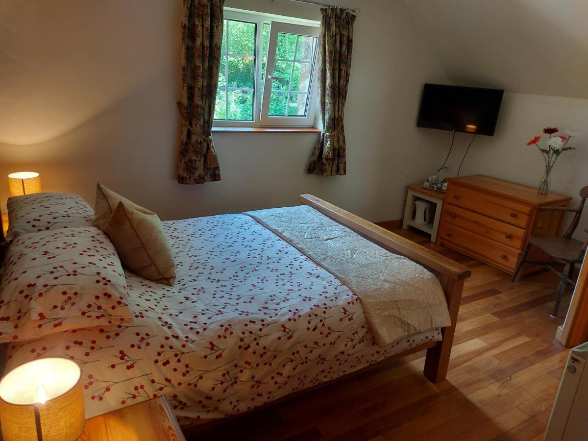 Вілла Bryn Sion Farm Dinas Mawddwy Екстер'єр фото